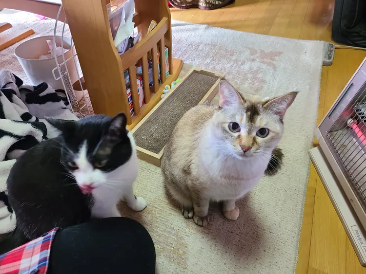 HOUSE COCONの内観・外観2