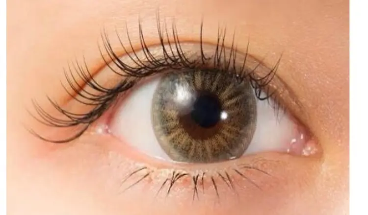 Merry（メリー)の内観・外観3