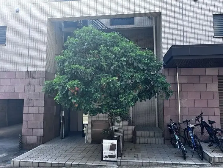 let'sの内観・外観3