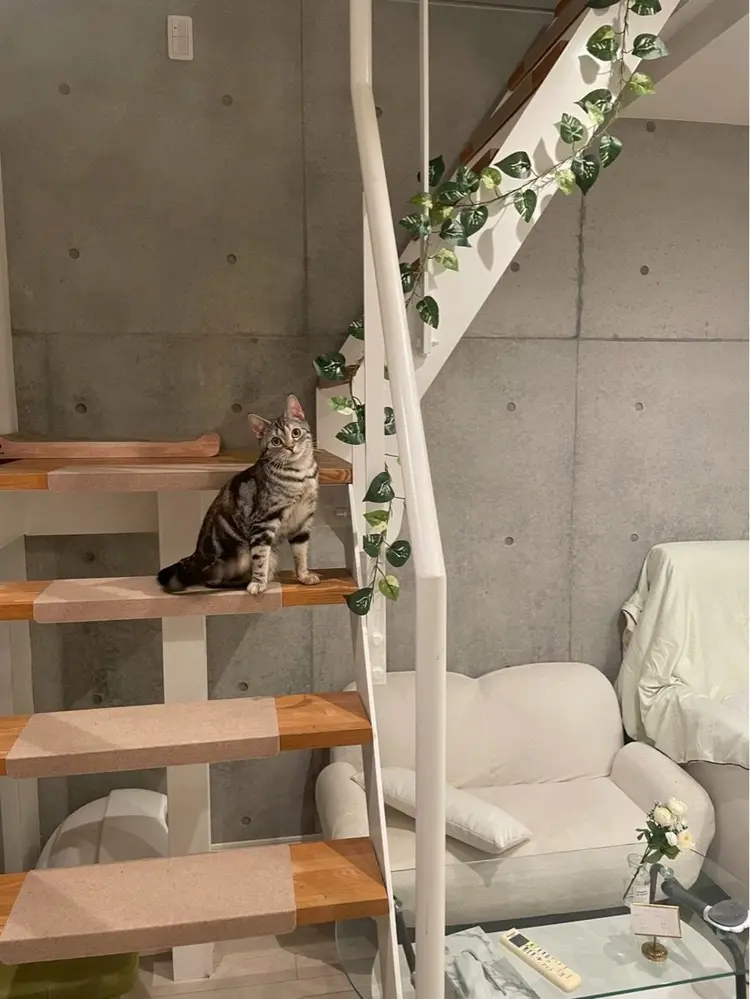 ネイルサロンChopinの内観・外観3