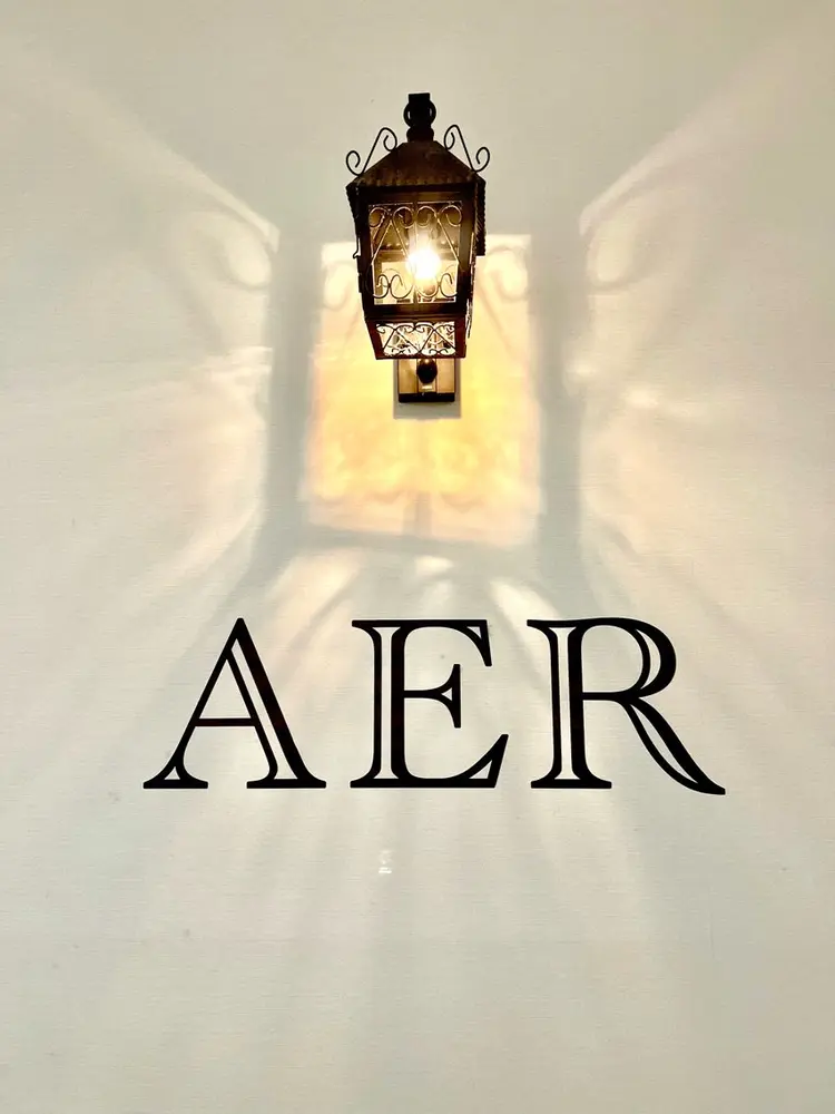 AERの内観・外観2