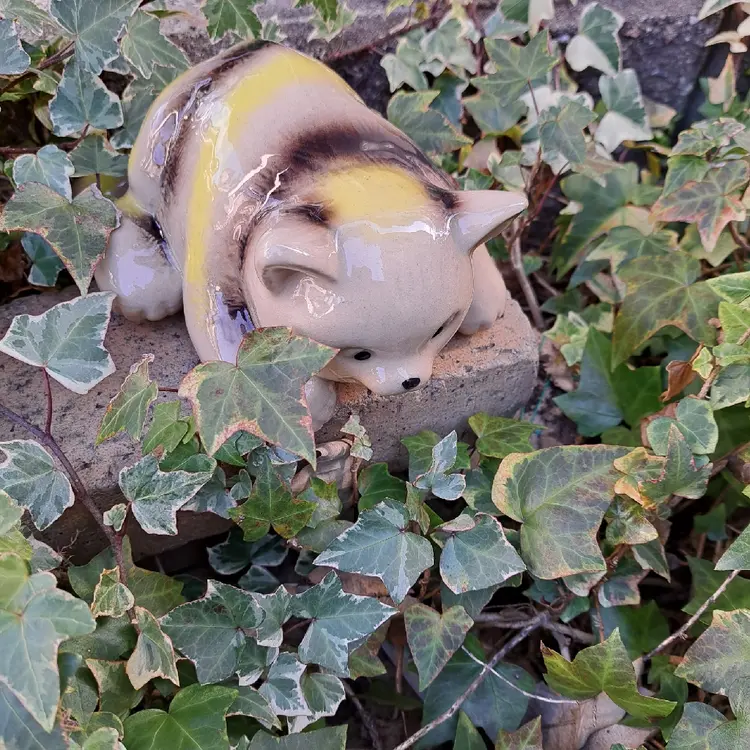 private Salon naokicchinail の内観・外観1