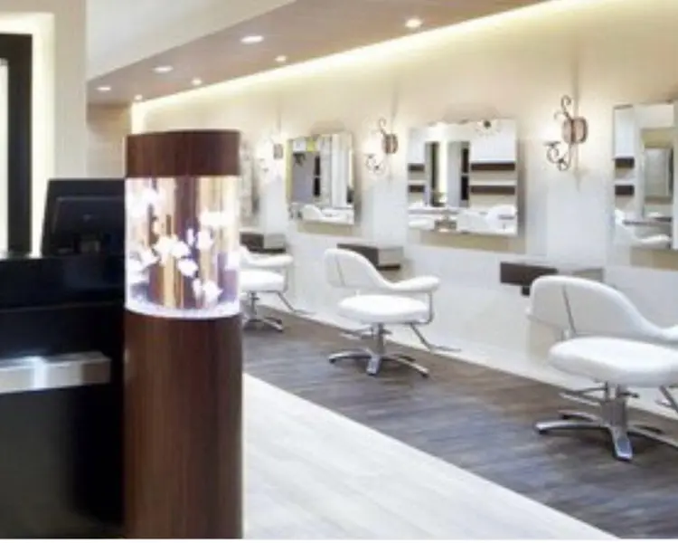 WiLL DOLLの内観・外観3