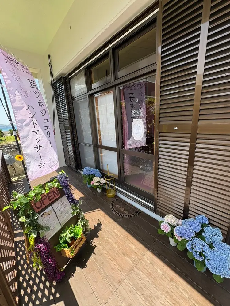 Princess Dreamの内観・外観1