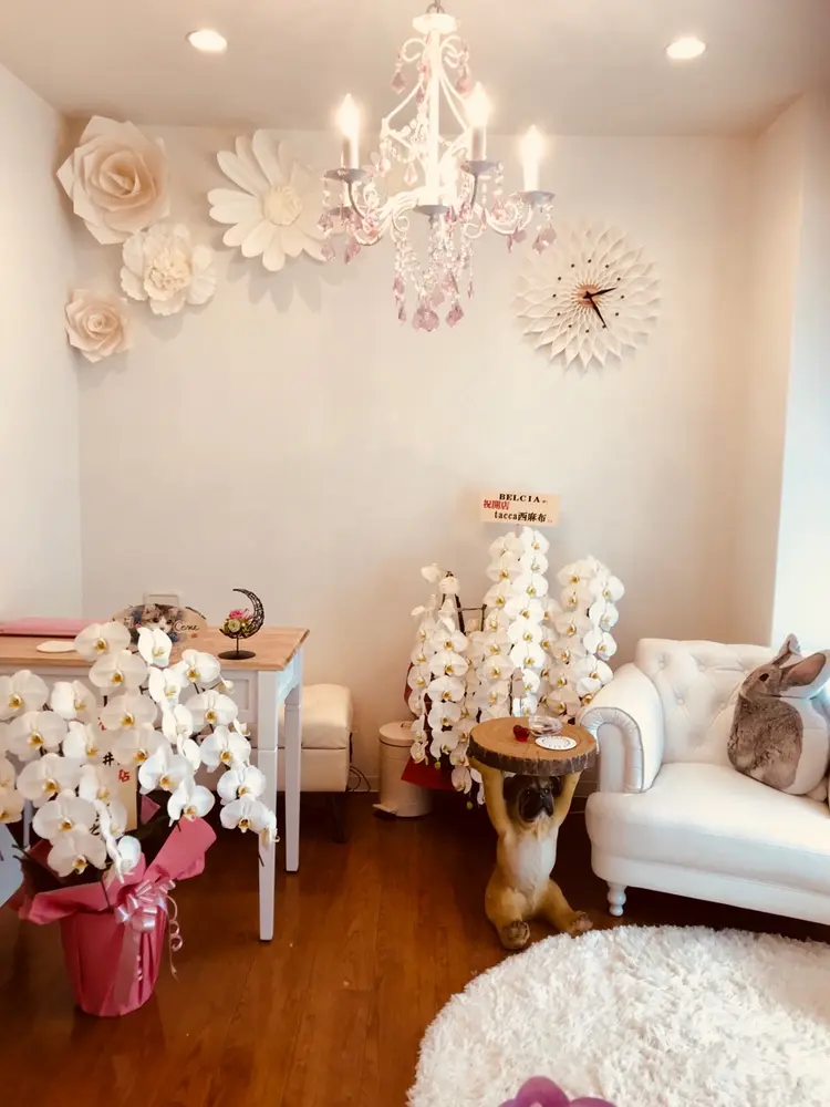 BELCIAの内観・外観1