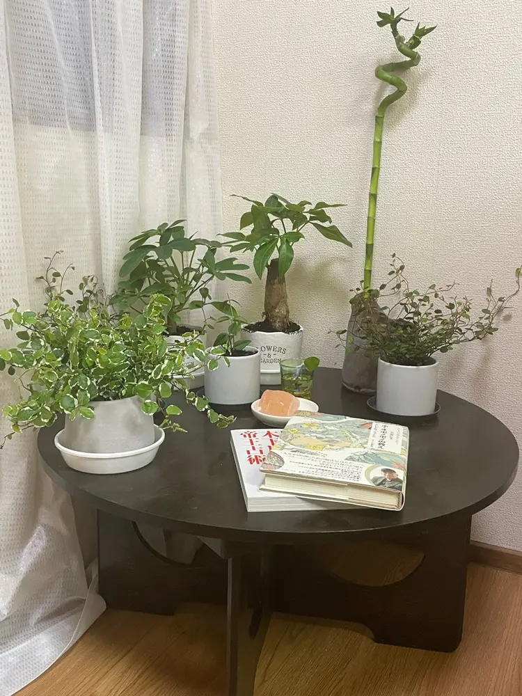 nail room Leiの内観・外観3