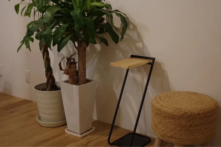 LIL表参道【リル】の内観・外観3