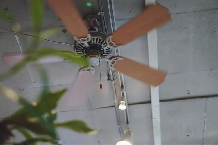 Monicaの内観・外観3