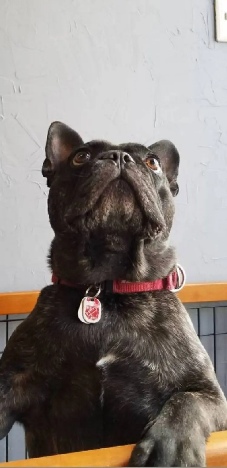 eyelashsalon.atの内観・外観3