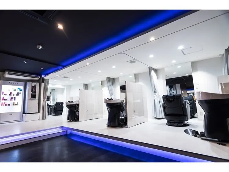 ブルーバイブレーションの内観・外観1