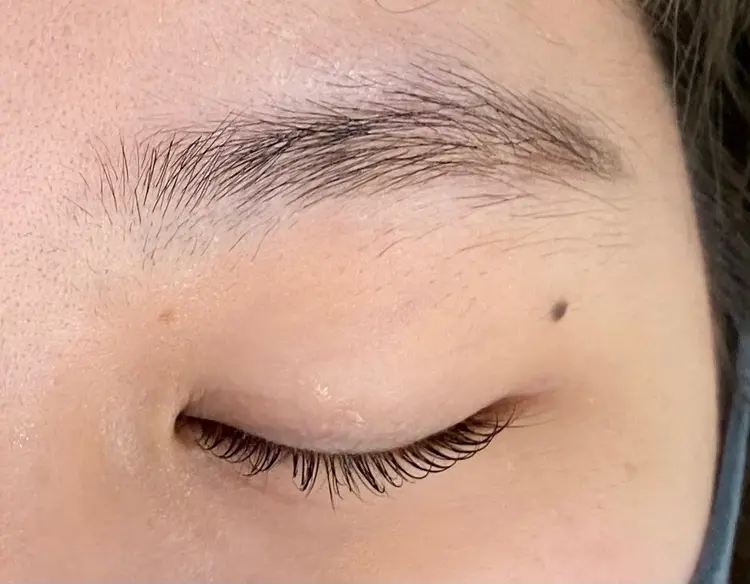 Baciami eyelashの内観・外観3