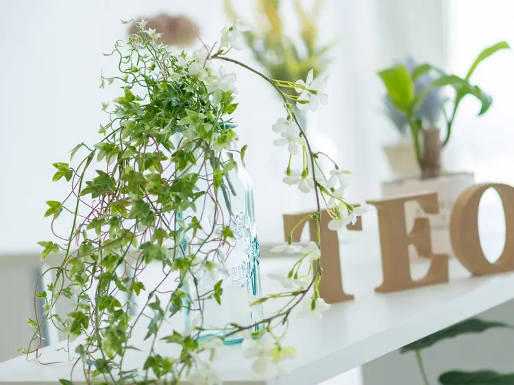 TEOの内観・外観3