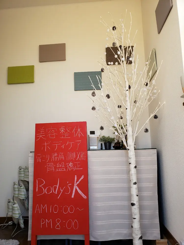 美容整体院Body's Kの内観・外観3