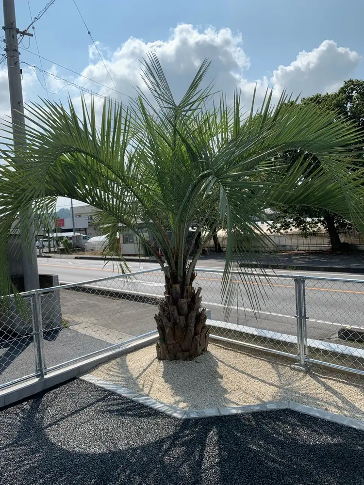 haku hair salonの内観・外観3