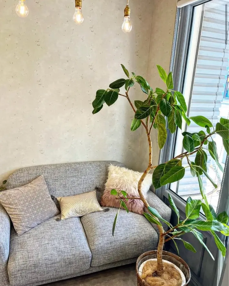 bijiの内観・外観3