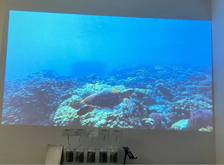 リラクゼーションサロンKの内観・外観3