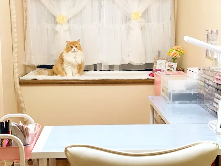 nail appleの内観・外観1