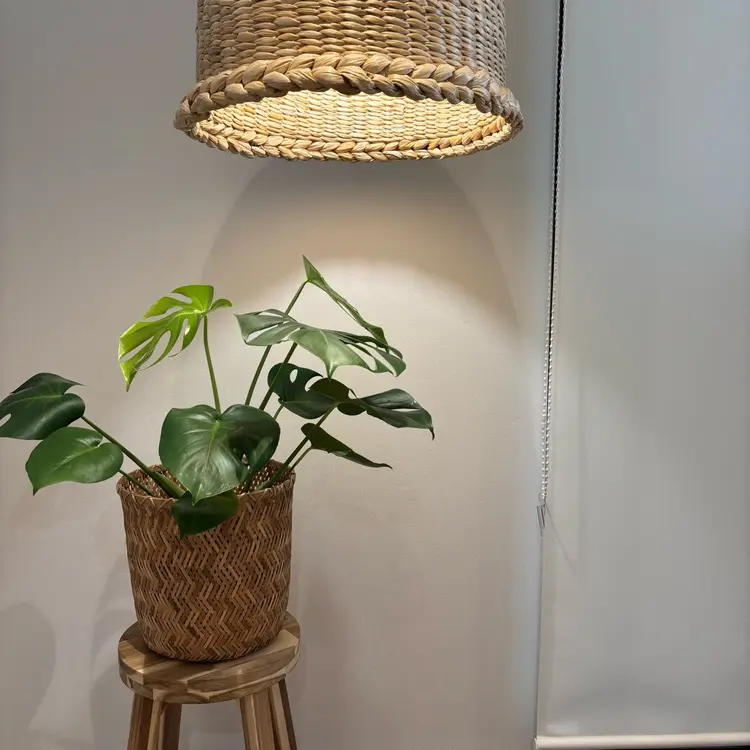 Nail Salon A29の内観・外観2