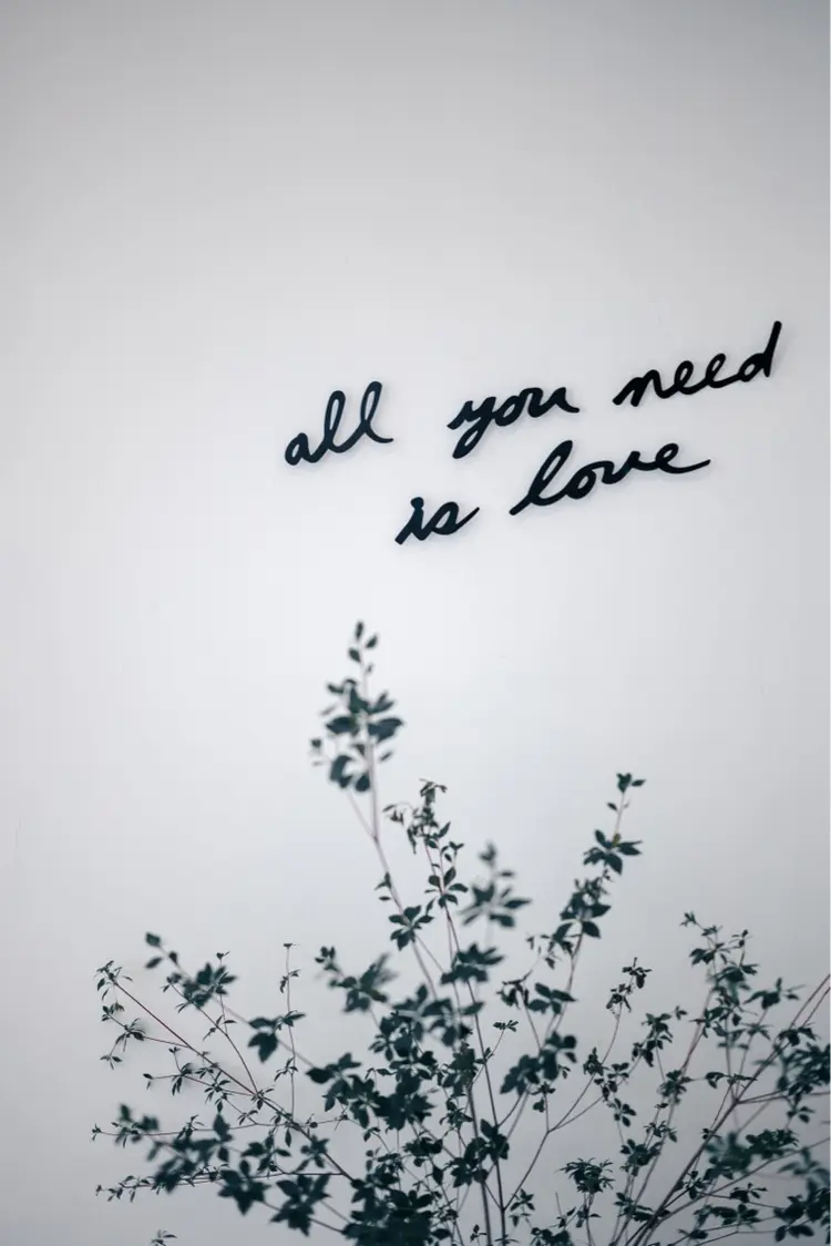 BOUTIQUE maru co. (ブティックマルコ)の内観・外観3