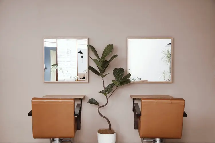 boasorteの内観・外観2