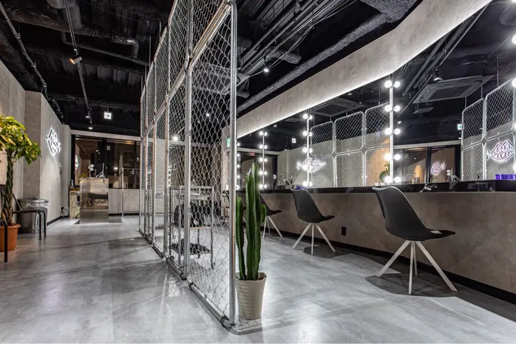 KISS SWANの内観・外観2