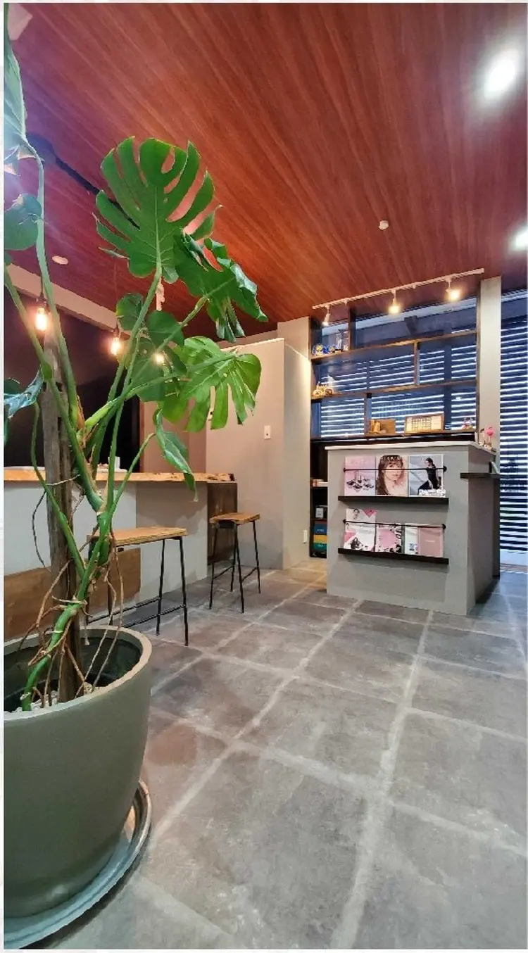 laniplumeriaの内観・外観2