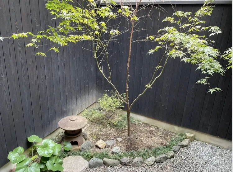 BERYLamberの内観・外観2