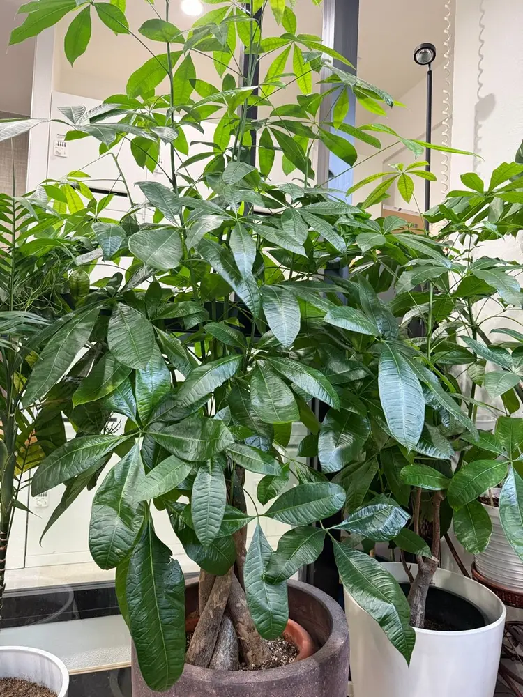 YINGサロンの内観・外観3