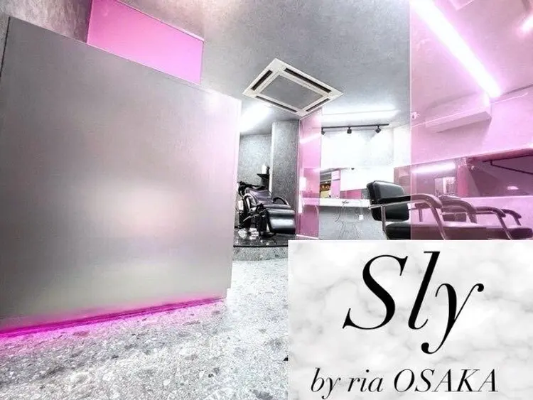 Sly By Ria osakaの内観・外観1