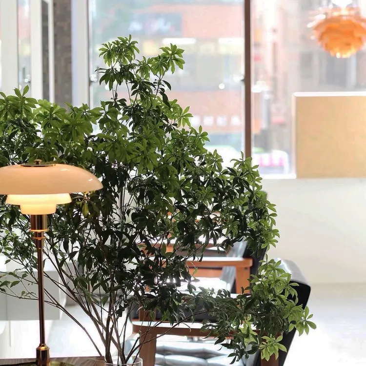 NUIの内観・外観1