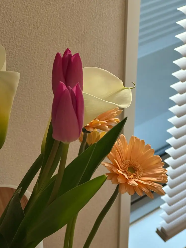 ａｒ.の内観・外観2