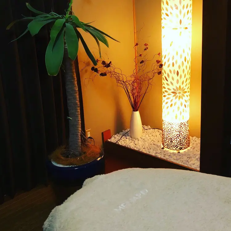 メナードフェイシャルサロンシャンティーメイ蒲郡の内観・外観1