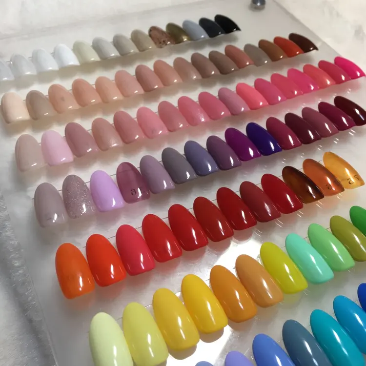 kipinailの内観・外観2