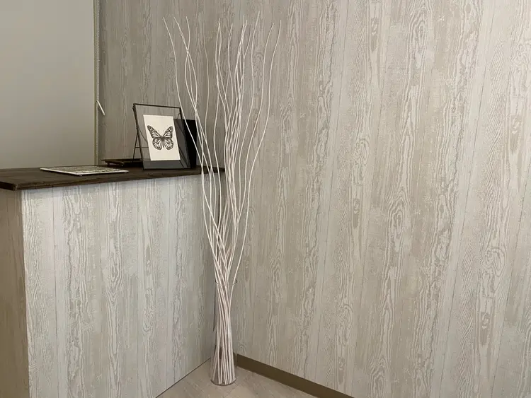 Mavieの内観・外観1