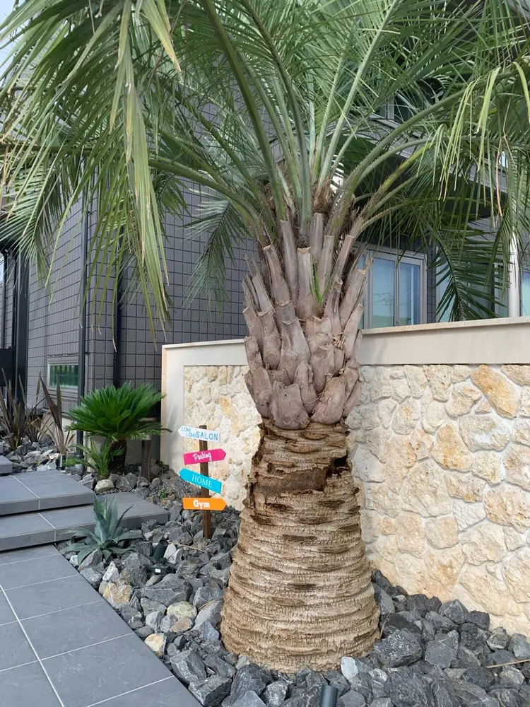 ハワイアンリラクゼーション　マレアロミロミサロンMāAlea lomilomisalonの内観・外観1