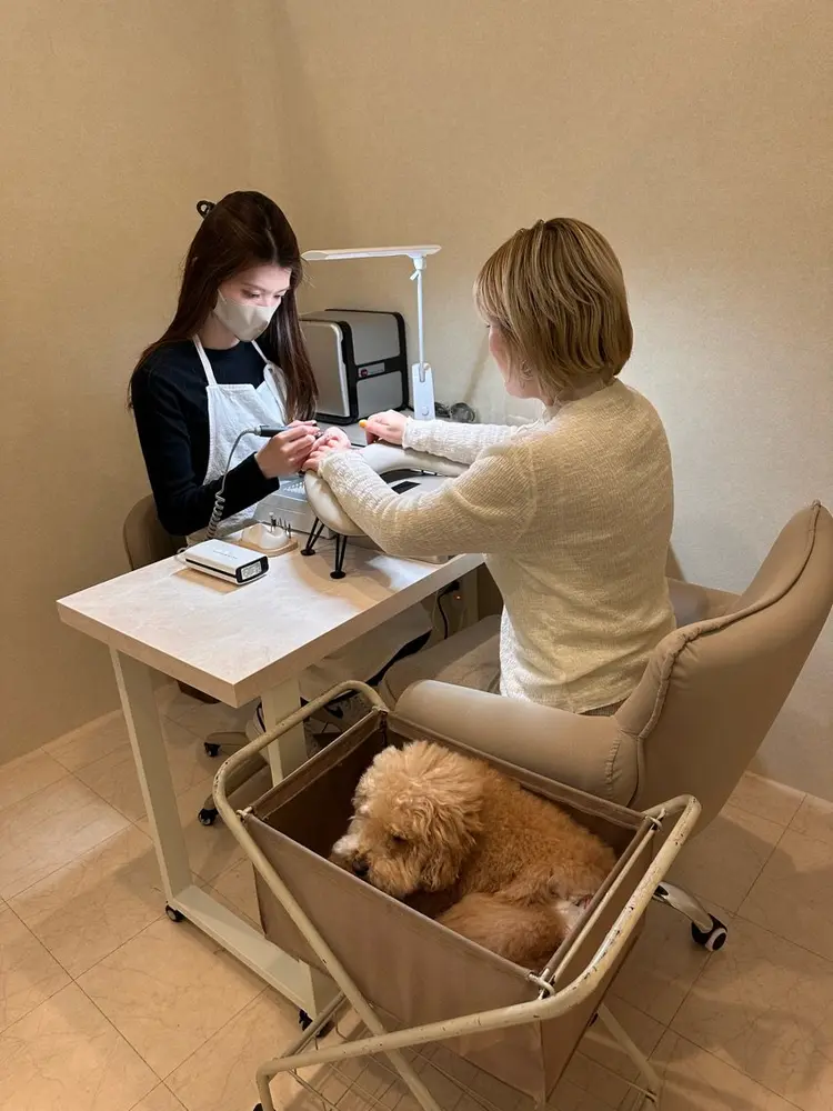 .d nailの内観・外観1