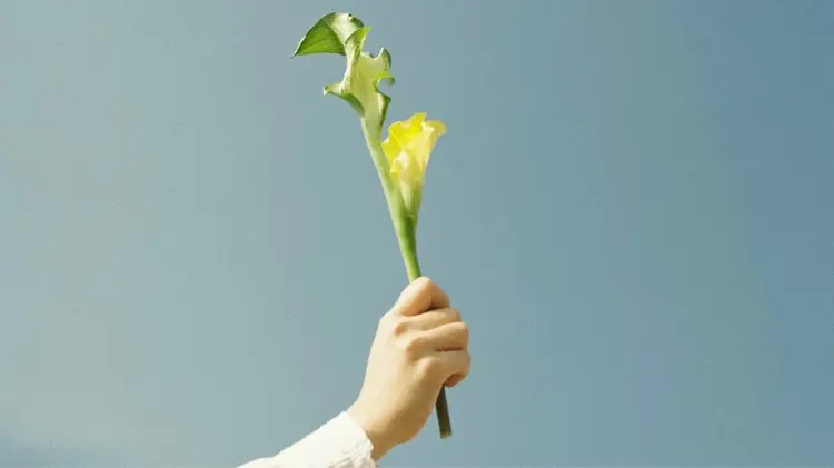 LIANCAの内観・外観1