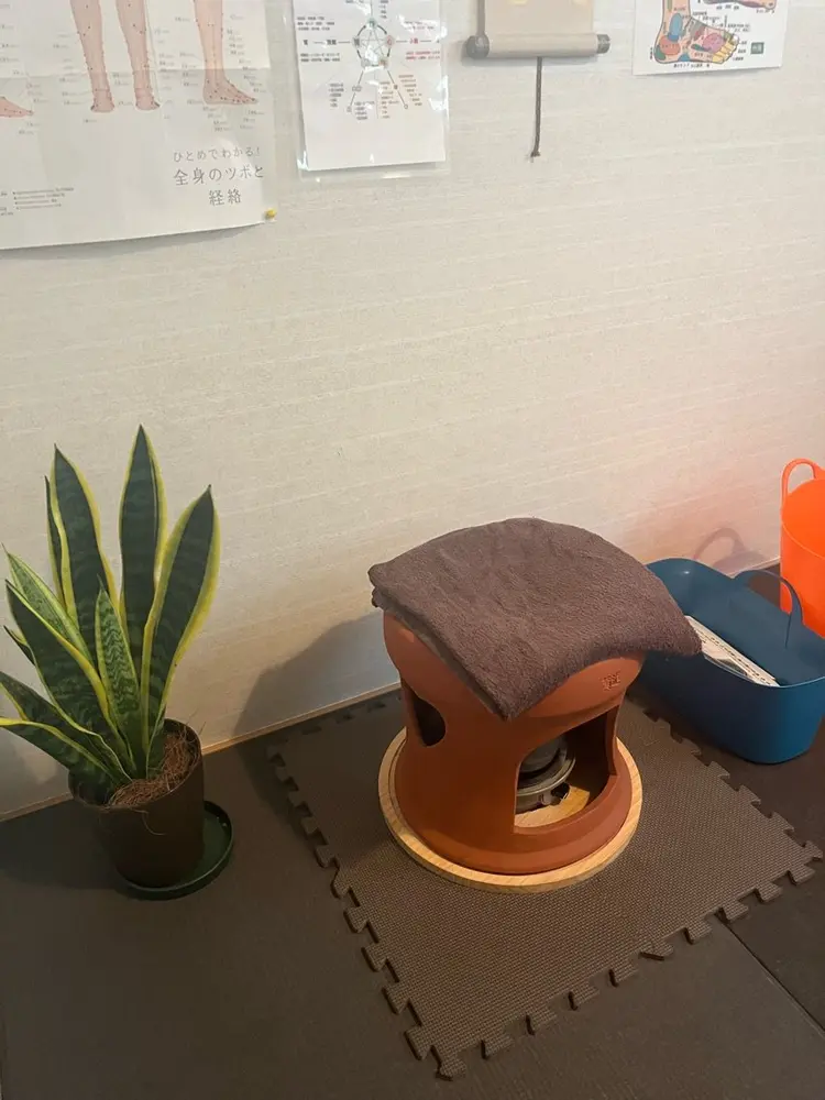 体質改善 Anの内観・外観1