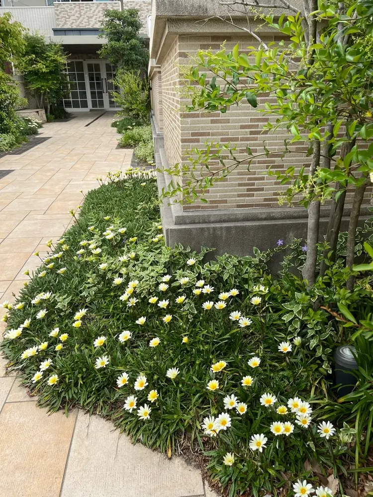 GARDEN GELの内観・外観2