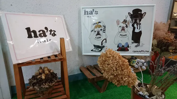 ha'な  hairの内観・外観3