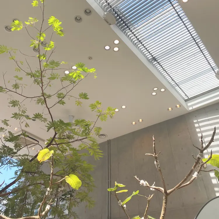 Of hair 　自由が丘　　WEST店の内観・外観3