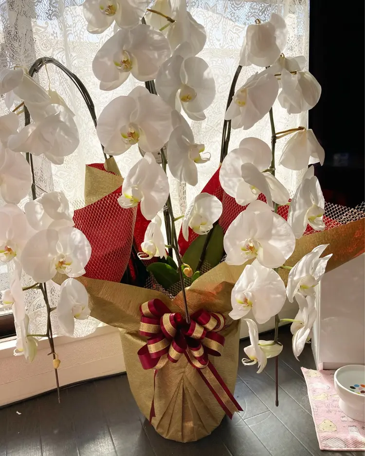 Be nice 　ﾋﾞﾆｰﾁｪの内観・外観1