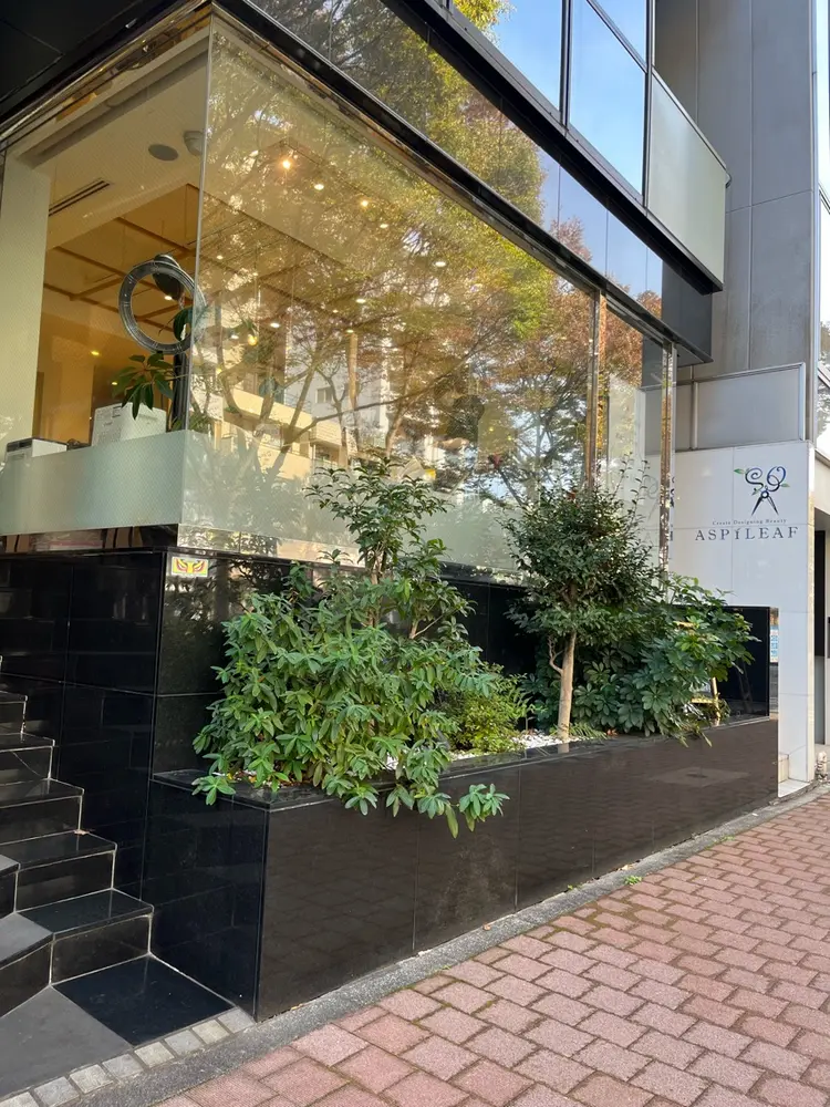 ASPILEAFの内観・外観2