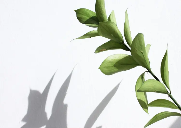 脱毛サロン Yuiの内観・外観2