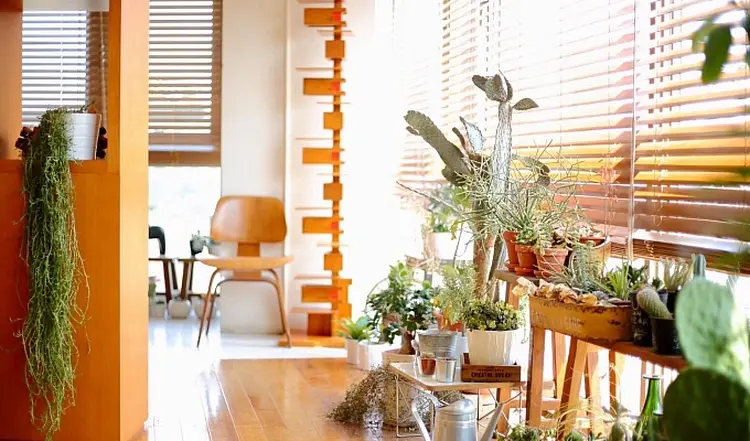 organic mindの内観・外観3