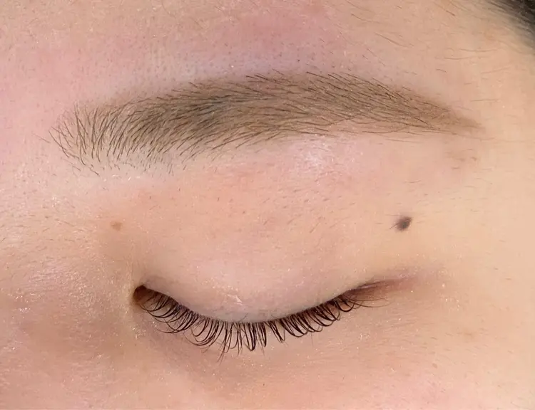 Baciami eyelashの内観・外観2