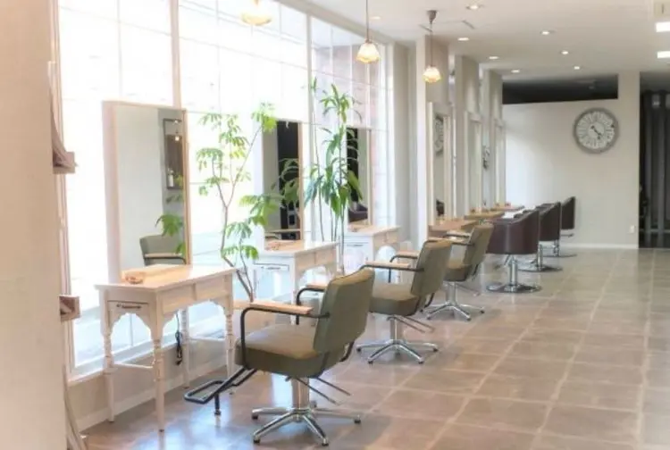 ルシードスタイルオルガの内観・外観2