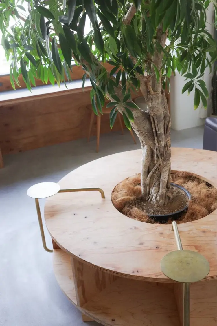 KONOKAの内観・外観3