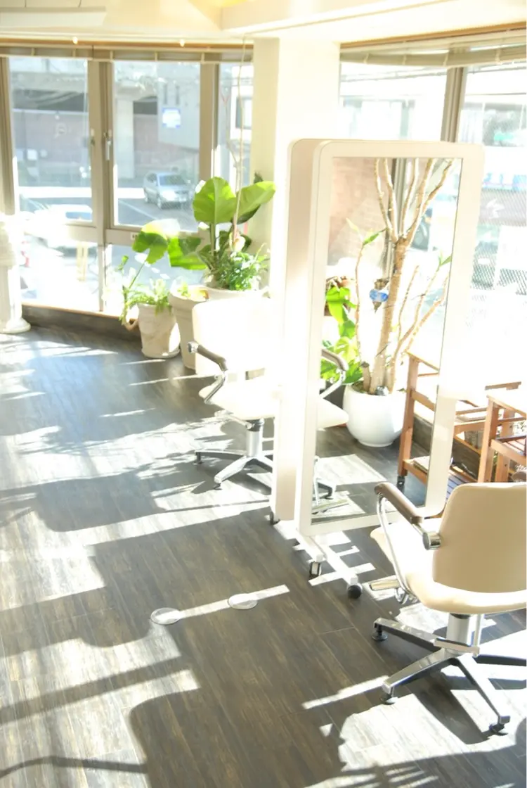 DiMPlE  ディンプルの内観・外観3