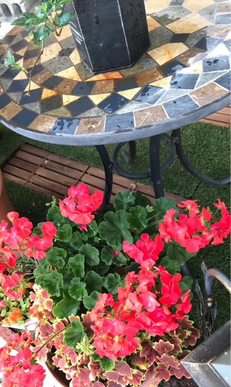 美容室 salon de craftの内観・外観3